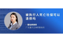 路南路南的要账公司在催收过程中的策略和技巧有哪些？